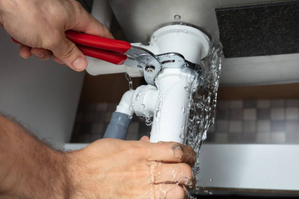 Best 24/7 water damage repair  in Fish Hawk, FL
