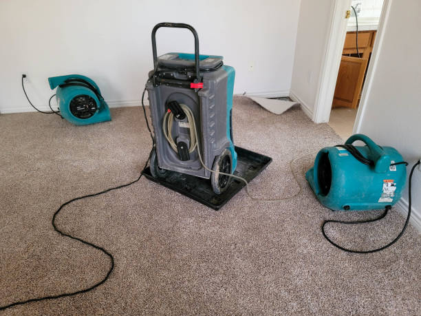Best Flood damage cleanup  in Fish Hawk, FL