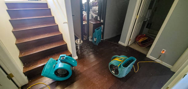 Best Residential water damage restoration  in Fish Hawk, FL