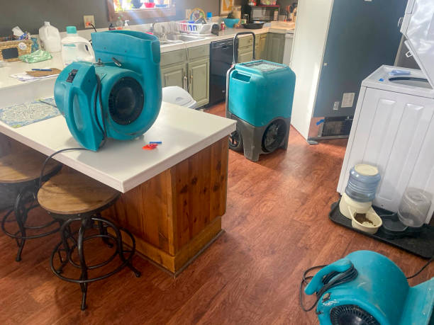 Best Water damage contractors near me  in Fish Hawk, FL