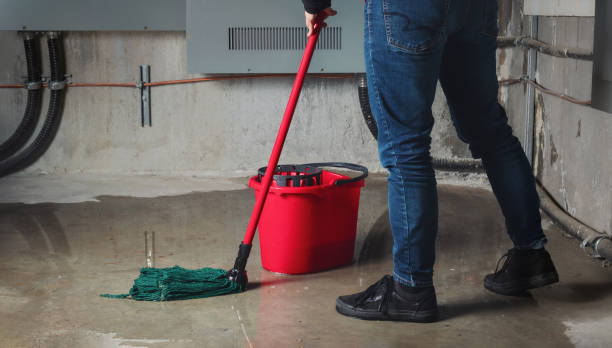 Best Professional water damage repair  in Fish Hawk, FL