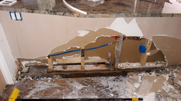 Best Water damage restoration experts  in Fish Hawk, FL