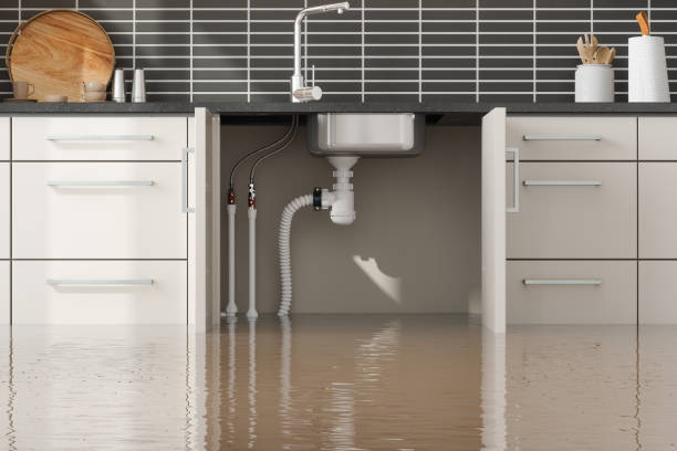 Best Flood restoration services  in Fish Hawk, FL
