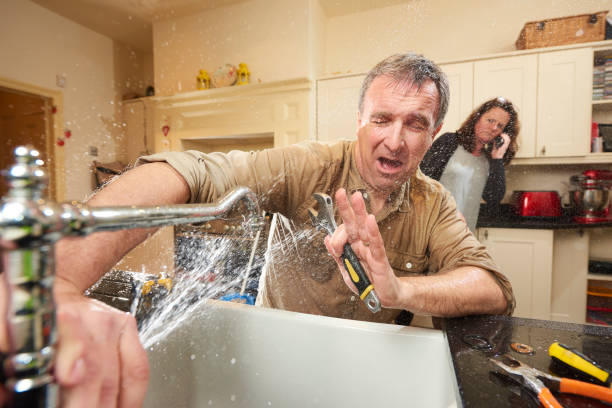 Best Water damage restoration insurance claims  in Fish Hawk, FL